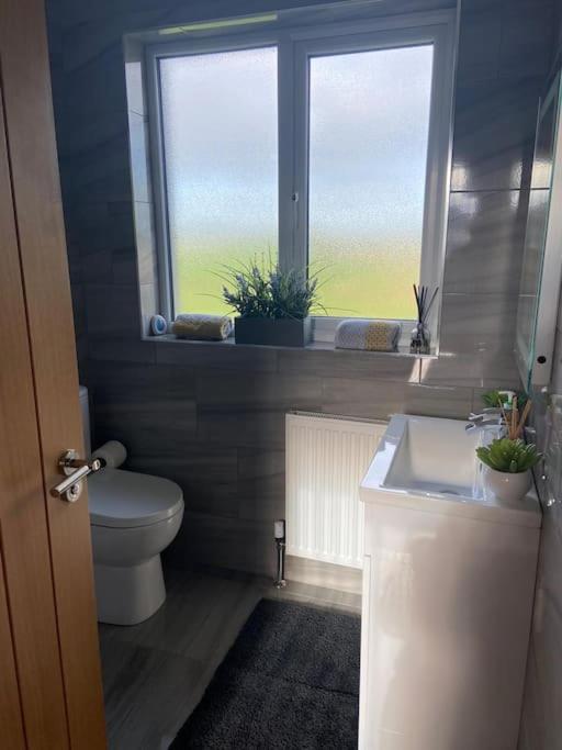 'Little Acre' Perfect For Business Or Pleasure Apartment Portadown Luaran gambar